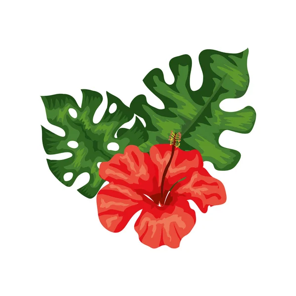 Flor natural de color rojo con hojas tropicales — Vector de stock