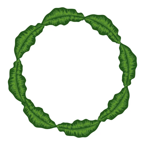 Rahmen kreisförmig von Blättern tropisch isoliert Symbol — Stockvektor