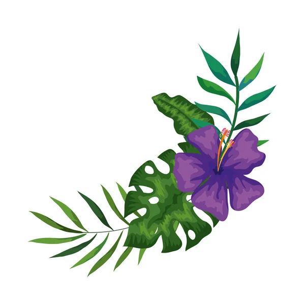 Flor de color púrpura con ramas y hojas — Vector de stock