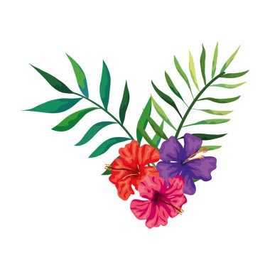 Dalları ve yaprakları olan doğal çiçekler.