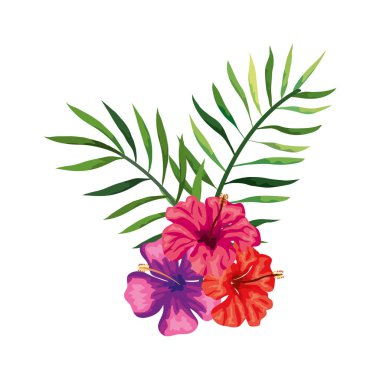 Dalları ve yaprakları olan doğal çiçekler.