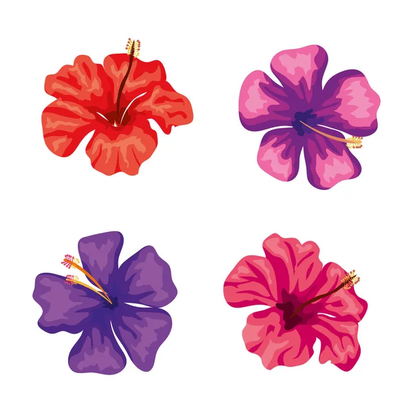 Conjunto de flores lindas icono aislado — Vector de stock