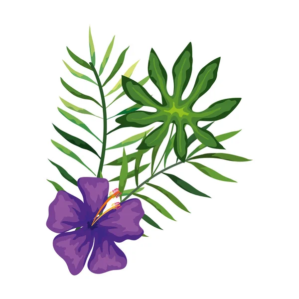Цветок фиолетового цвета с ветвями и листьями — стоковый вектор