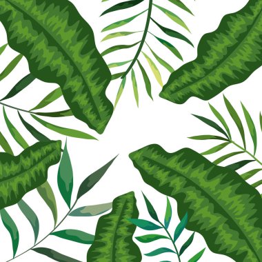 Tropikallerin dalları ve yapraklarıyla çerçevelenmiş