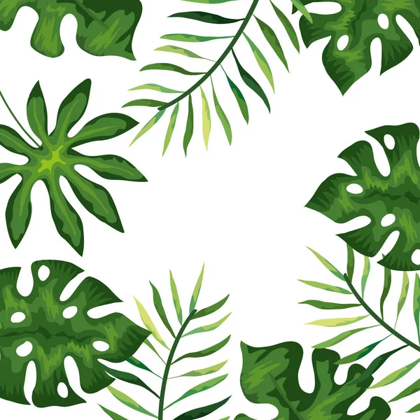 Cadre avec branches et feuilles tropicales — Image vectorielle