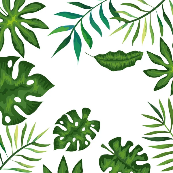 Rama z gałęziami i liśćmi tropikalnymi — Wektor stockowy