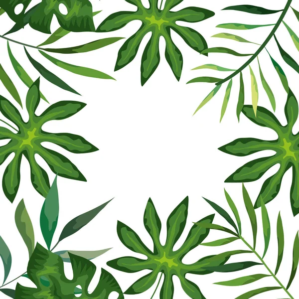 Marco con ramas y hojas tropicales — Vector de stock