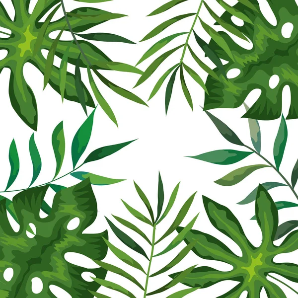 Marco con ramas y hojas tropicales — Vector de stock