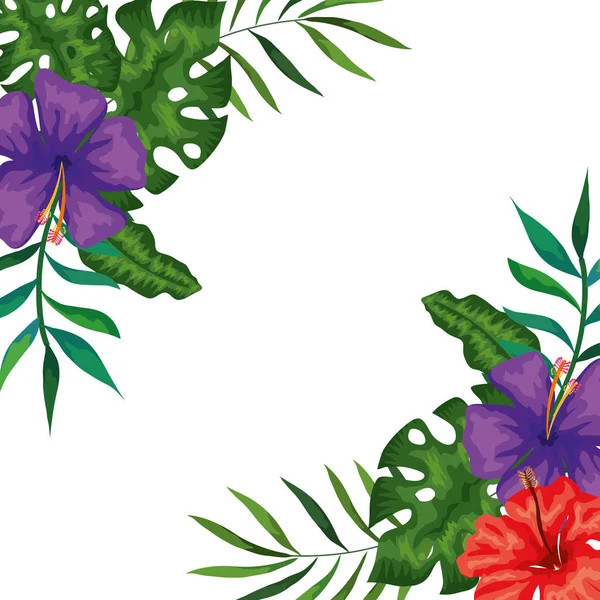 Cadre de fleurs avec branches et feuilles nature — Image vectorielle