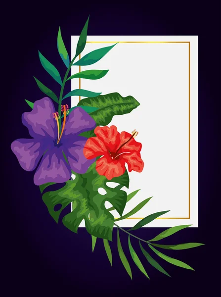 花や葉の性質を持つフレーム — ストックベクタ