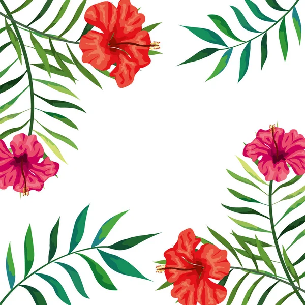 Cadre de fleurs avec branches et feuilles — Image vectorielle