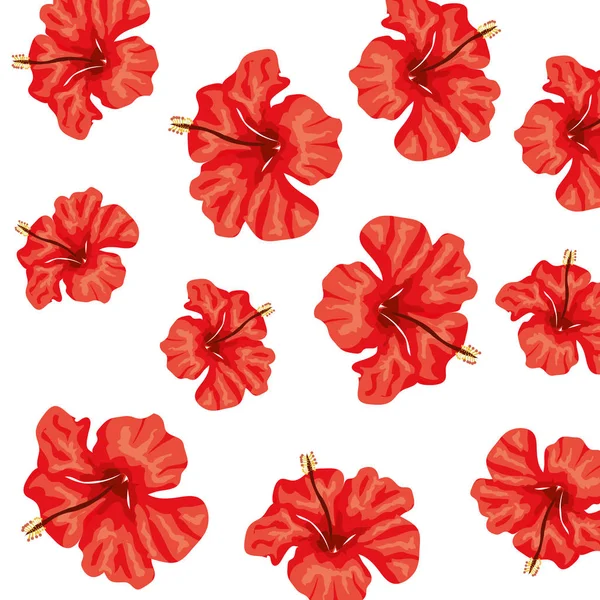 Hintergrund der niedlichen Blumen von roter Farbe — Stockvektor