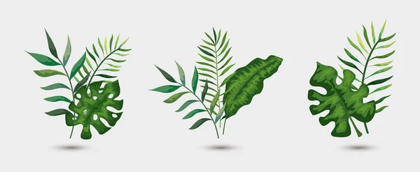 Набор ветвей с тропическими листьями — стоковый вектор