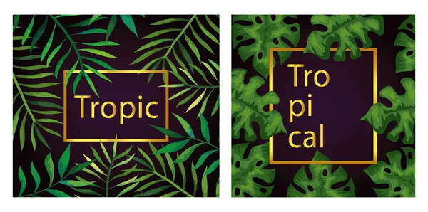 Set frames tropicals van takken met bladeren — Stockvector