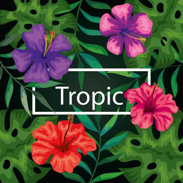 Frame tropisch met bloemen en bladeren — Stockvector