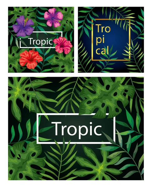 Set van frames tropicals van bloemen met takken en bladeren — Stockvector