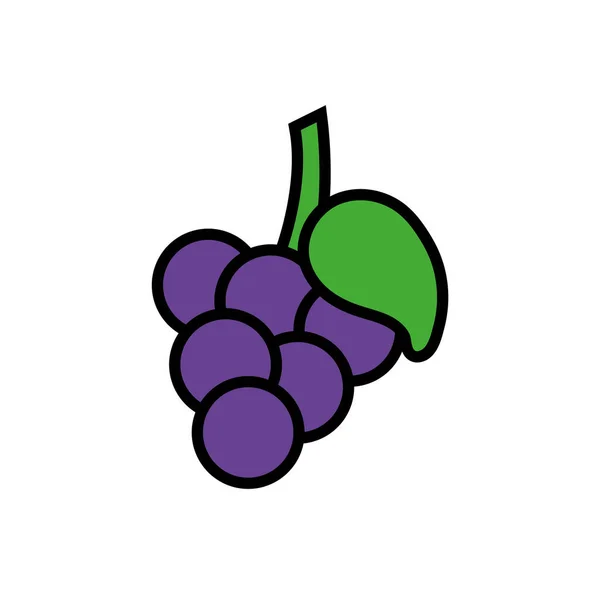葡萄新鲜水果孤立的图标 — 图库矢量图片
