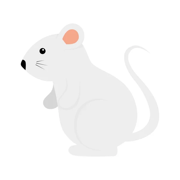 Lindo roedor rata aislado icono — Vector de stock