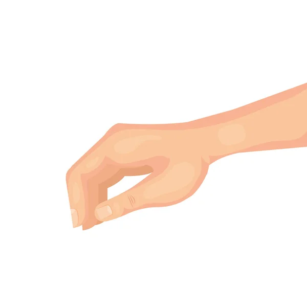 Hand organ human isolated icon — 스톡 벡터