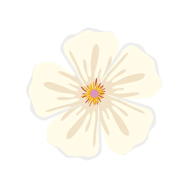 Schattig bloem natuurlijke geïsoleerde pictogram — Stockvector