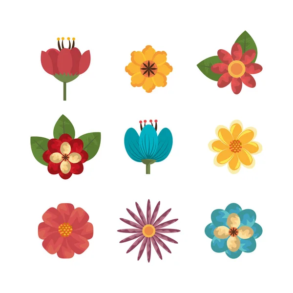 Bundel bloemen naturals pictogrammen — Stockvector