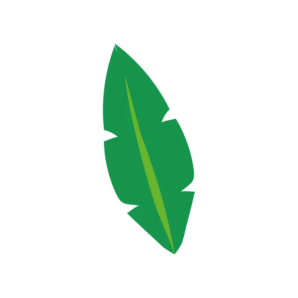 Ecología planta hoja aislado icono — Vector de stock