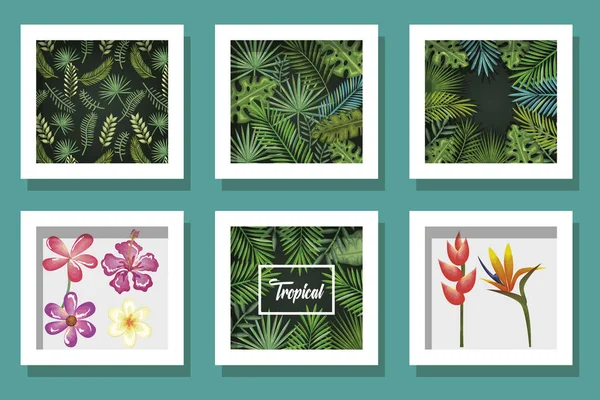 Bündel von Designs Blumen und Blätter Tropen — Stockvektor