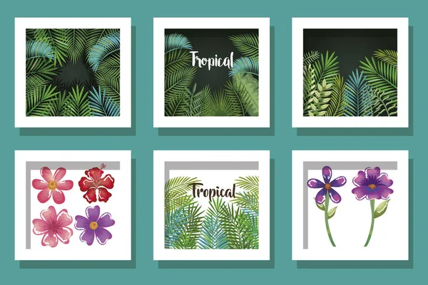 Paquete de diseños flores y hojas tropicales — Archivo Imágenes Vectoriales