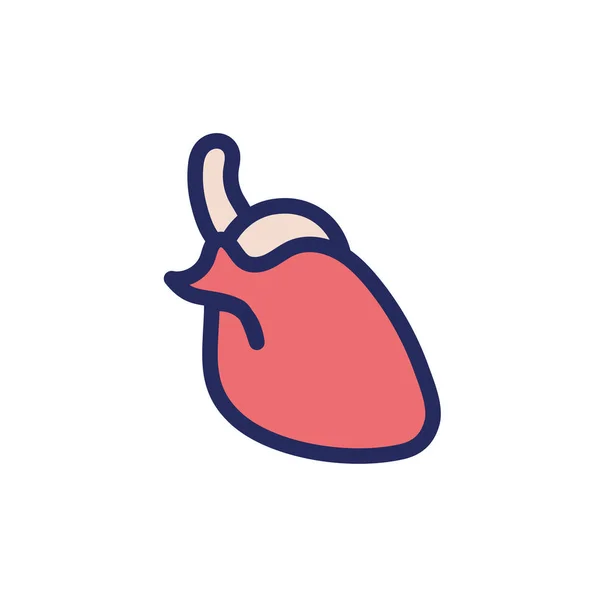Srdce lidské varhany izolované ikona — Stockový vektor