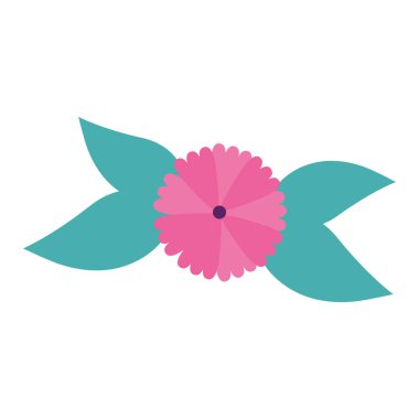 Yaprakların izole edilmiş ikonu olan doğal bir çiçek.