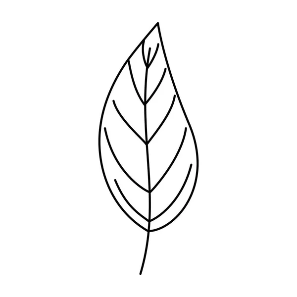 叶子植物自然隔离图标 — 图库矢量图片
