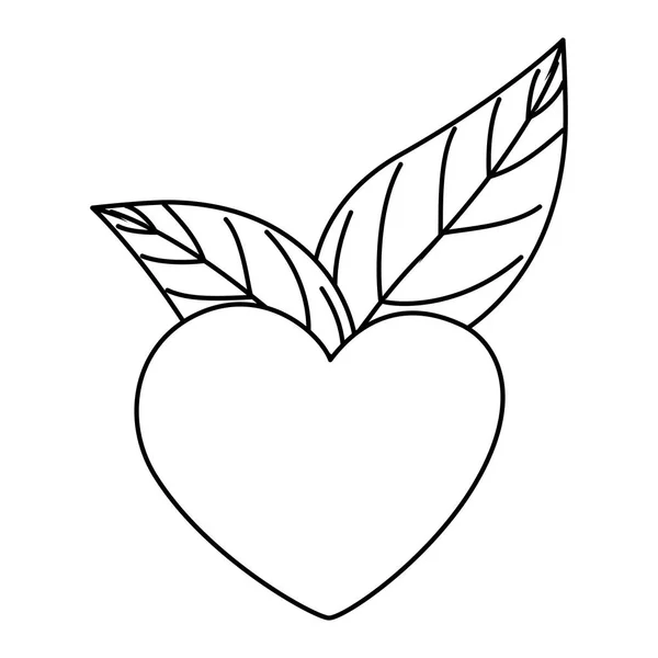 Coeur mignon avec des feuilles icône isolée — Image vectorielle