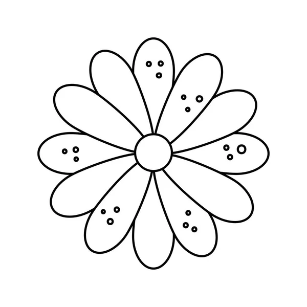 Schattig bloem natuurlijke geïsoleerde pictogram — Stockvector