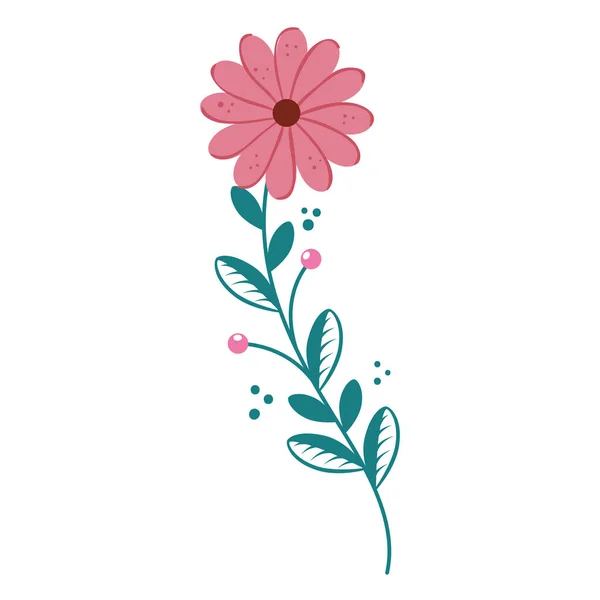 Cute flower with branch and leafs isolated icon — 스톡 벡터