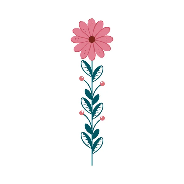 Cute flower with branch and leafs isolated icon — 스톡 벡터