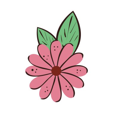 Yaprakların izole edilmiş ikonu olan doğal bir çiçek.