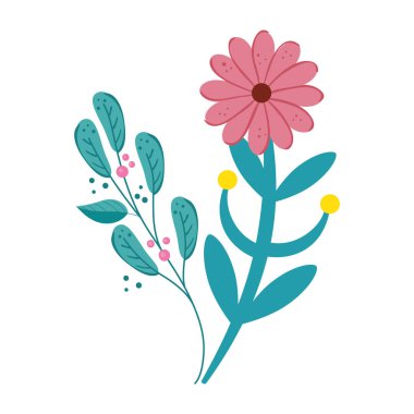 Dalları ve yaprakları izole edilmiş sevimli bir çiçek.