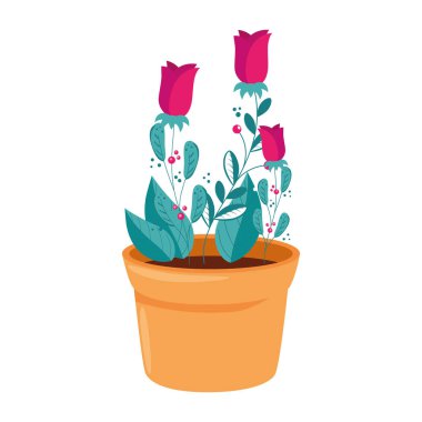 roses flowers in pot plant isolated icon