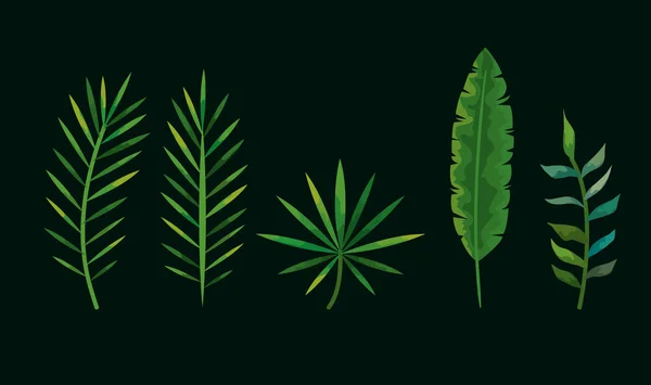 Ensemble de feuilles tropicales nature — Image vectorielle