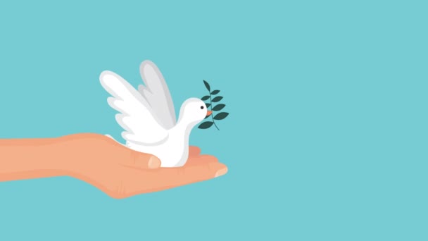 Animace lidských práv s holubicí létající — Stock video