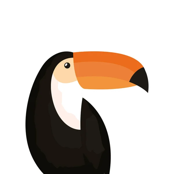 Toucan animal exotique isolé icône — Image vectorielle