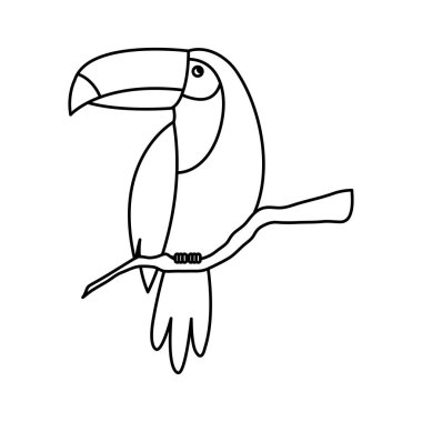 Tukan hayvan egzotik izole ikonu
