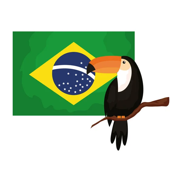Tukan zwierzę egzotyczne z flagą brazil — Wektor stockowy