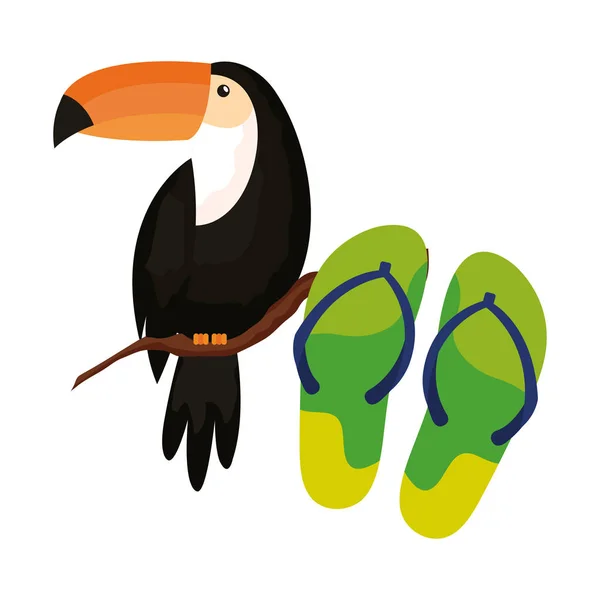 Flip flops with toucan isolated icon — Stock Vector