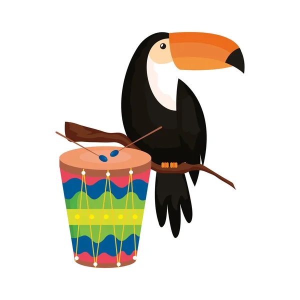 Drum met toucan geïsoleerd icoon — Stockvector