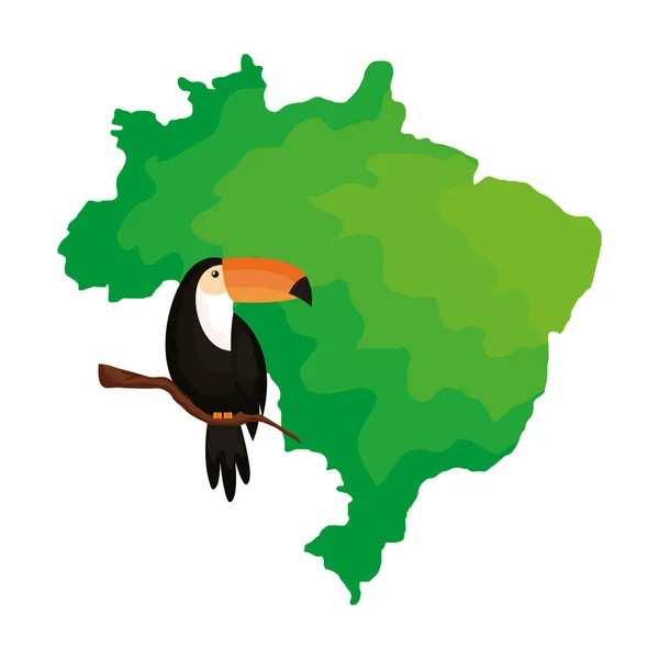 Tukańskie zwierzę egzotyczne z mapą Brazylii — Wektor stockowy