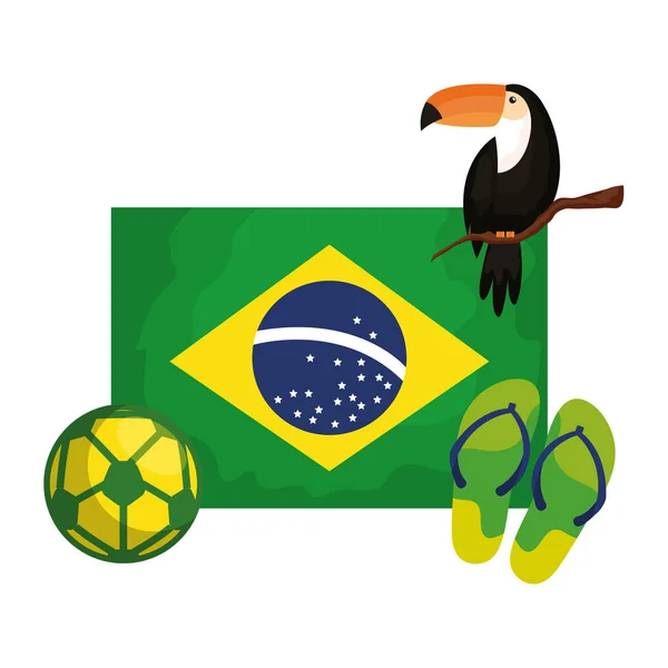 Toucan a ikony s vlajkovou brazilskou — Stockový vektor