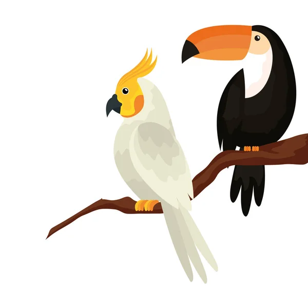 Parrot with toucan in tree branch isolated icon — 스톡 벡터