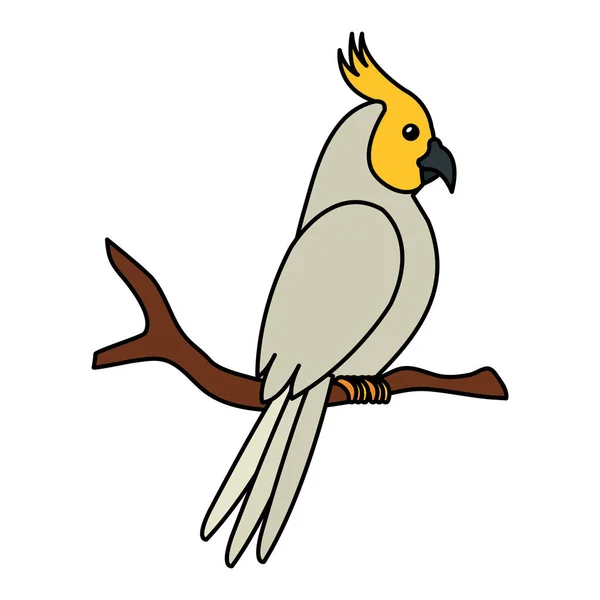 乔木树枝上的鹦鹉鸟隔离图标 — 图库矢量图片