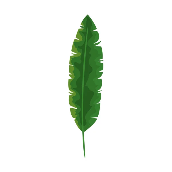 Feuille naturelle tropicale icône isolée — Image vectorielle